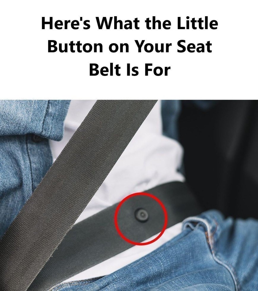 Here’s What the Little Button on Your Seat Belt Is Really For