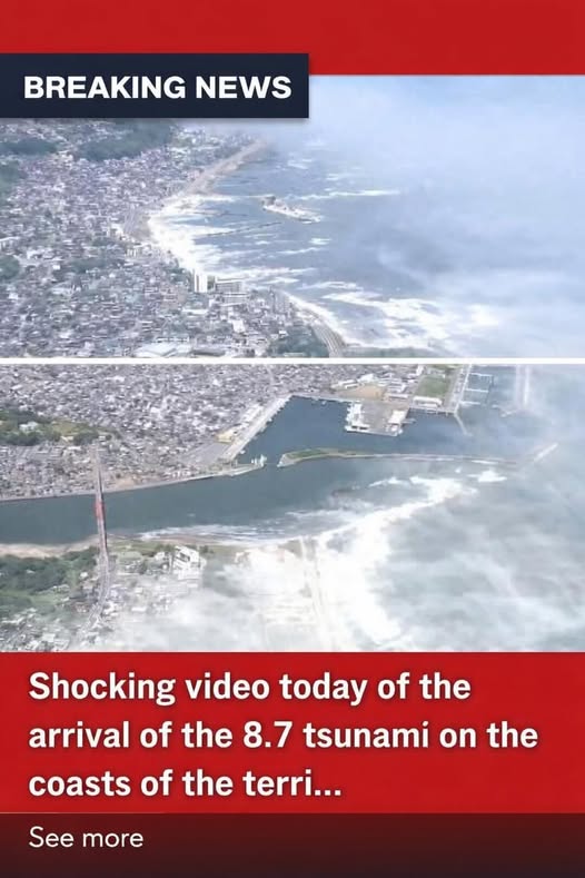 Shocking video today of the arrival of the 8.7 tsunami on the coasts of the terri… See more